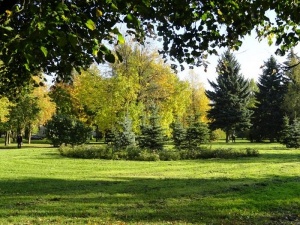 Любашинский сад