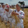 21 июля - Казанская летняя (Прокопьев день, Зажинки)