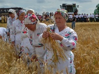 21 июля - Казанская летняя (Прокопьев день, Зажинки)