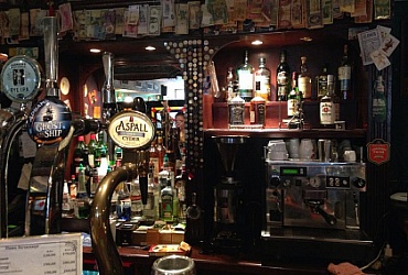 Old Dogs Irish Bar – Санкт-Петербург, ирландский паб