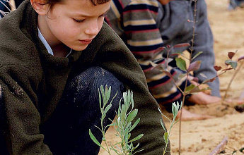 Ту би-Шват - Новый год деревьев Земли Израиля