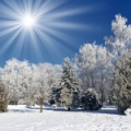 Праздник зимнего солнцестояния Дунчжицзе