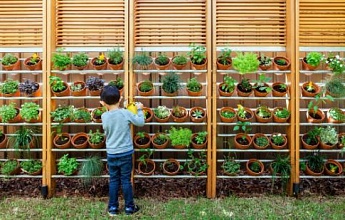 Выращивание съедобных растений в контейнерах