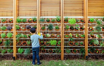 Выращивание съедобных растений в контейнерах